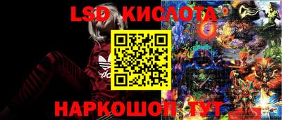 молекула духа Славгород