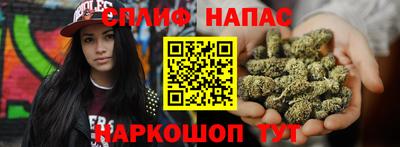 молекула духа Славгород