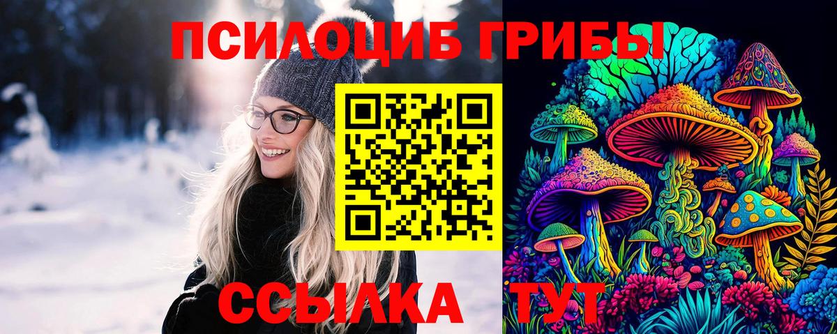 Псилоцибиновые грибы Psilocybine cubensis  Вход с VPN  Омск 